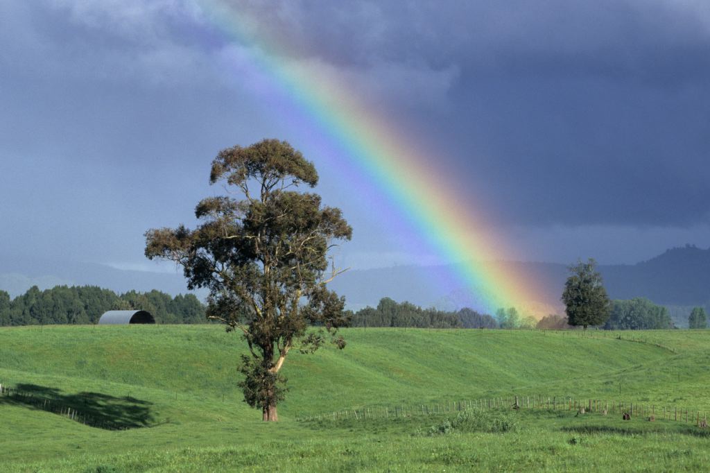 Regenbogen